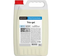 Моющее средство с отбеливающим эффектом PRO-BRITE TRIO-GEL 5л, концентрат 067-5
