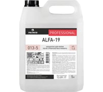 Средство для уборки после строительства PRO-BRITE  5л ALFA-19 кислотное концентрат 013-5 605263