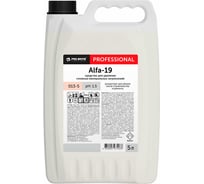 Средство для удаления сложных минеральных загрязнений PRO-BRITE ALFA-19 5 л 013-5