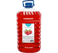 Жидкое мыло Vega малина, 5 л, ПЭТ 314222