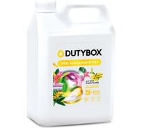 Эко-кондиционер DUTYBOX концентрат "Paradise", 200 стирок, 5 л db-5197 30309722