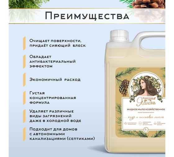 Хозяйственное жидкое мыло Королева Яблонь Кедр и пихтовое масло, 5 л  54086
