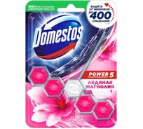 Блок для очищения унитаза DOMESTOS POWER 5 ледяная магнолия 55 г 68702175 32136162