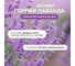 Средство для мытья пола и поверхностей SYNERGETIC Горная лаванда антибактериальное 5л 101510 7