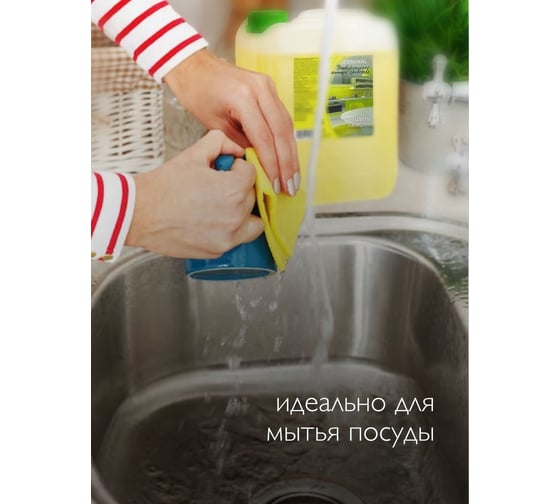 Средство моющее универсальное JERMiNAL Цветы Лимона 5 л канистра 12247495