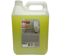 Кислотное средство для чистки сантехники от известкового налета и ржавчины PROFREIN SANTI гель, 5 кг 3232