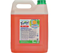 Концентрат для мытья пола Forest Clean Сочный апельсин щелочной 5 кг 520