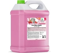 Крем-мыло жидкое Прохим "Soapy" Premium малина в карамели, увлажняющее, 5 л CG8151