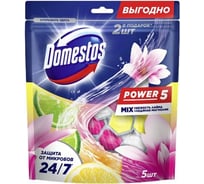 Блок для очищения туалета DOMESTOS PWR5 свежесть лайма+ледяная магнолия, 2 шт. в упаковке 69664675 32136198