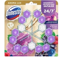 Блок для очищения унитаза DOMESTOS POWER 5 TRIO сказочный аромат 68888863 32136384