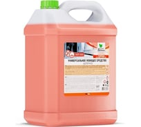 Универсальное моющее средство Прохим концентрат, щелочное, 5 кг CG8026