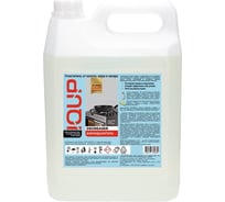 Антижир для плит духовок грилей IQUP Degreaser 5 л канистра ПНД. 802699