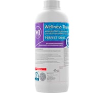 Концентрат Wellness therm PERFECT SHINE для очистки ватерлинии и чаши бассейна 1 л. 877147