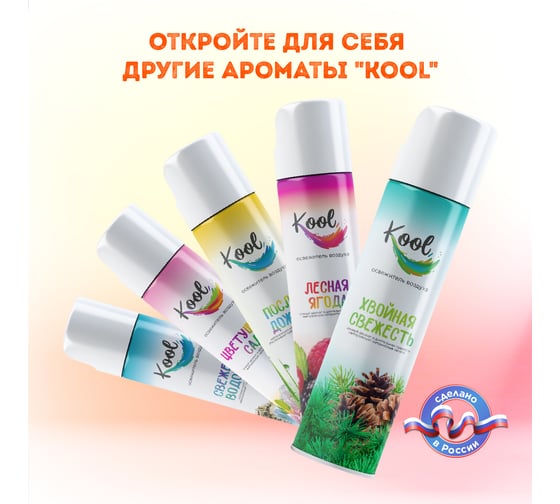 Освежитель воздуха NIKA KOOL "Ледяная свежесть” ЦБ-00008554