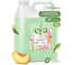 Кондиционер для белья Gras "EVA" fruit fusion концентрированный, канистра 5кг 125915 1