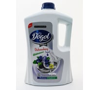 Гель для мытья посуды Dogol с экстрактом черники 2 л DDG0UBB020 DOGOL