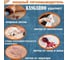 Мощный пятновыводитель для текстиля KANGAROO Home, 500 мл 770008 1816618 5
