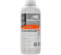 Реагент Wellness therm I SHINE на кислотной основе 1л