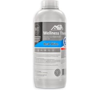 Реагент Wellness therm REAL SHINE на щелочной основе 1л