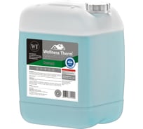 Реагент Wellness therm PREVENT на нейтральной основе 10л