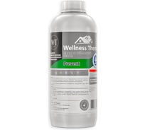 Реагент Wellness therm PREVENT на нейтральной основе 1л