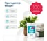 Кислородный очиститель LAVR for home 1 кг 3350 4