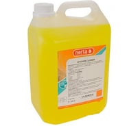 Универсальное моющее средство NERTA INTERIOR CLEANER концентрат, канистра БХ-501030