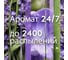 Сменный баллон GLADE Automatic Безмятежная лаванда и алоэ, 269 мл 356761 4