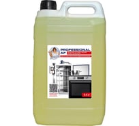 Антижир Hermes industry Professional AF концентрат AP0020224