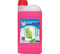 Средство для очистки стекол и зеркал Hermes industry Professional Glass Барбарис, концентрат GC0010224