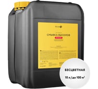 Смывка высолов Elcon SV очиститель строительный, 10 л 00-00002948