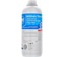 Средство для понижения PH воды в бассейне Wellness Therm PH - 1 литр 312668