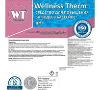 Средство для повышения PH воды в бассейне Wellness Therm PH + 10 литров 712729