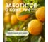 Гель-бальзам для мытья посуды MEINE LIEBE Свежий цитрус, 5 л ML32246 5