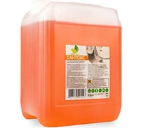 Чистящее средство для удаления известкового налёта и ржавчины NeoLine САНТОКС 5 кг Евроканистра 143001