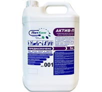 Профессиональное моющее средство ООО ПитХим Актив-П 5 л
