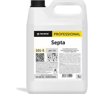 Многофункциональное дезинфицирующее средство Pro-Brite SEPTA с моющим эффектом, 1 л 101-5