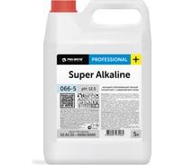 Моющее отбеливающее средство от последствий пожара Pro-Brite SUPER ALKALINE 5л. 066-5