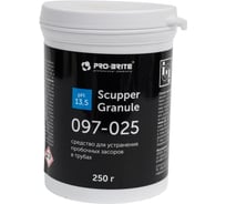 Щелочное чистящее средство PRO-BRITE SCUPPER GRANULE 250 мл 097-025