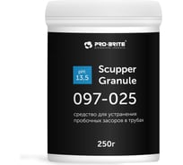 Гранулы для удаления пробочных засоров в сточных трубах Pro-Brite SCUPPER GRANULE 250гр. 097-025