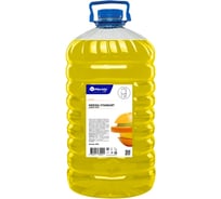 Жидкое мыло MERIDA СТАНДАРТ цитрус бутылка 5 л М8Ц