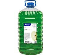 Жидкое мыло MERIDA СТАНДАРТ, яблоко, бутылка 5 л М8Я