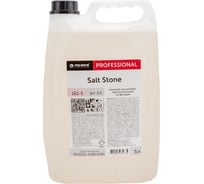 Моющий концентрат против высолов на фасадах Pro-Brite SALT STONE 5 л. 161-5 18502939