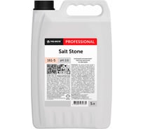 Моющий концентрат против высолов на фасадах Pro-Brite SALT STONE 5 л. 161-5