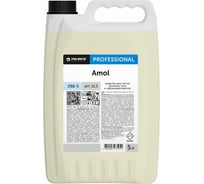 Чистящее средство для удаления нагара и жира PRO-BRITE AMOL 5 л 298-5