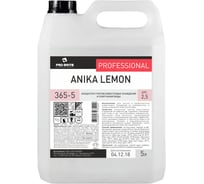 Концентрат против известковых осаждений и помутнения воды Pro-Brite ANIKA Lemon 5 л 365-5