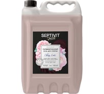 Гель для стирки SEPTIVIT  Special Cherry Love 5л 439_5