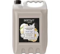 Кондиционер для белья SEPTIVIT Special Black Pepper 5л 442_5