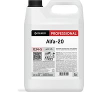 Моющий концентрат для уборки после строительства и ремонта Pro-Brite ALFA-20 5 л 034-5