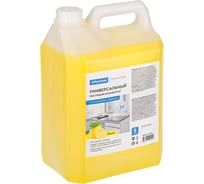 Антимикробный универсальный чистящий концентрат OfficeClean Professional Лимон 5 л, канистра 298166